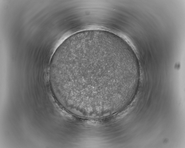 X0000093621097200711051234