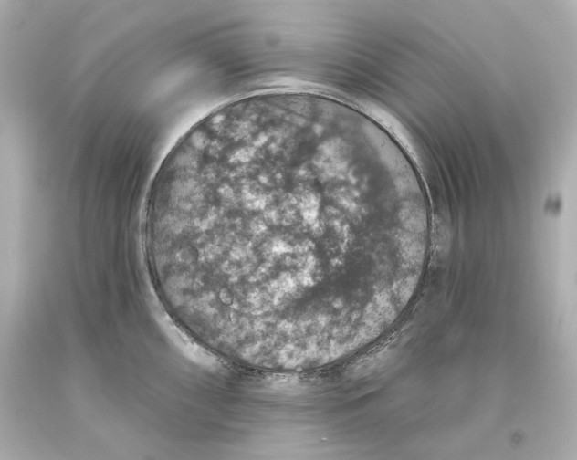 X0000093621098200711051234