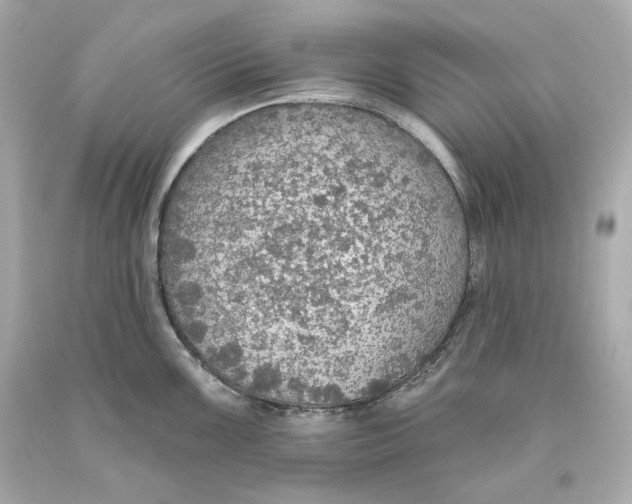 X0000093621099200711051234