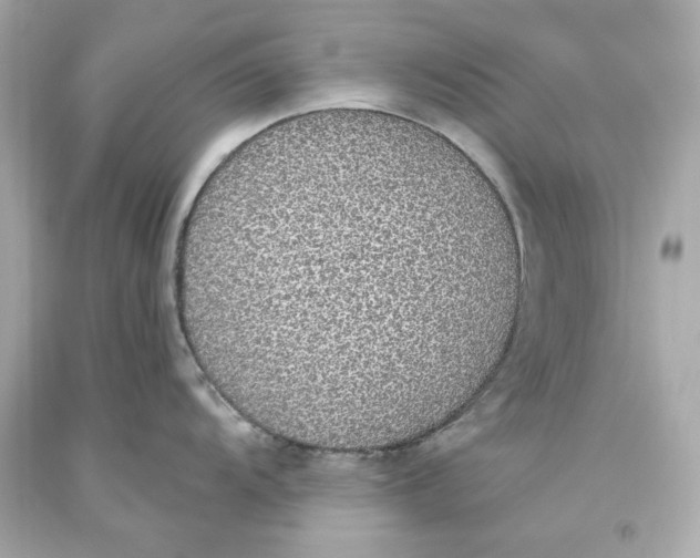 X0000093621104200711051234