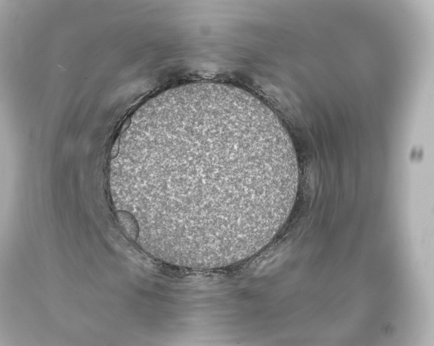 X0000093621105200711051233
