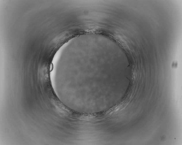 X0000093621106200711051233