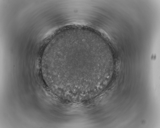 X0000093621110200711051233