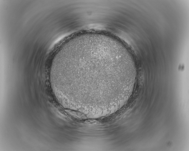 X0000093621112200711051234