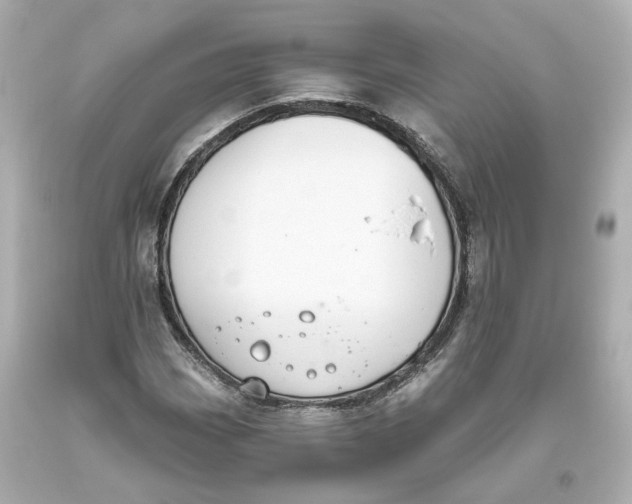 X0000093621113200711051234