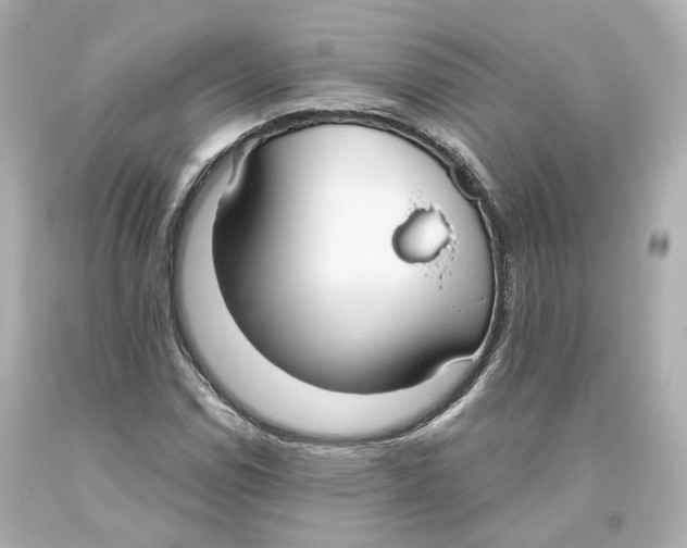 X0000093621114200711051234