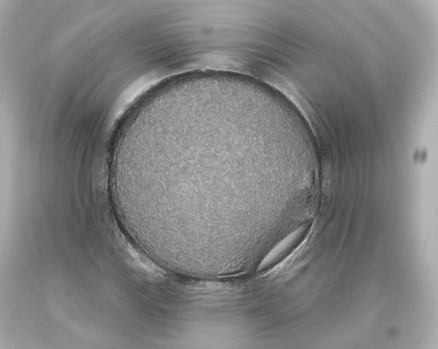 X0000093621115200711051234