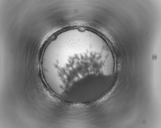 X0000093621117200711051234