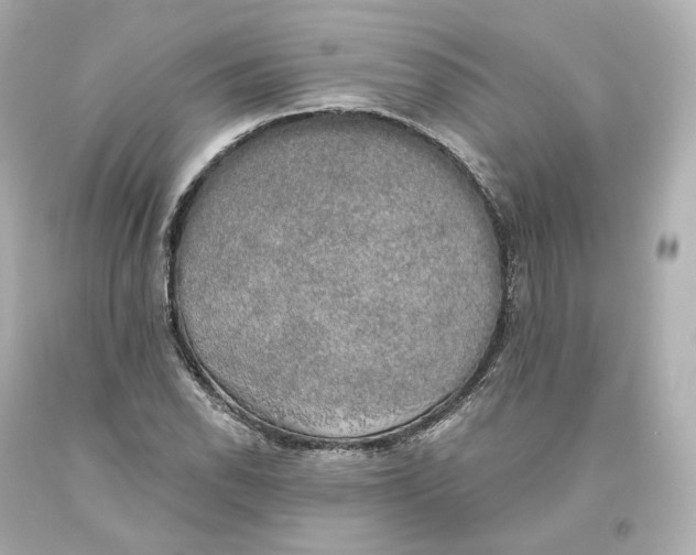 X0000093621118200711051234