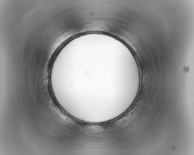X0000093621119200711051234