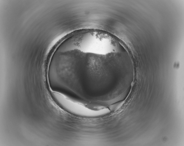 X0000093621120200711051234