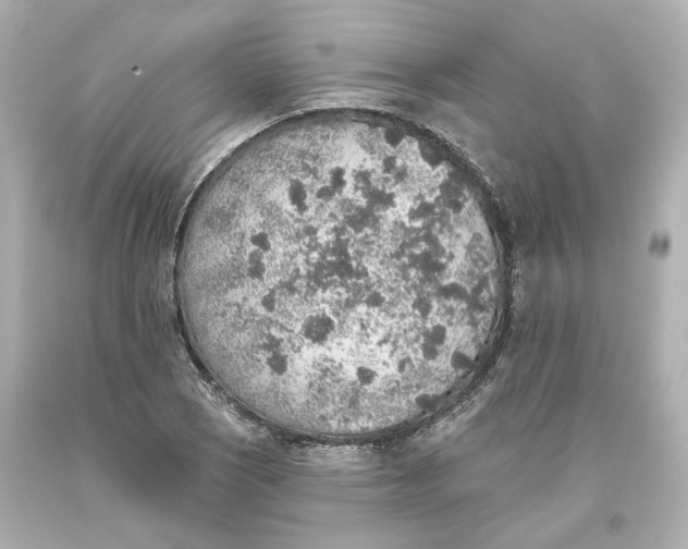 X0000093621121200711051234