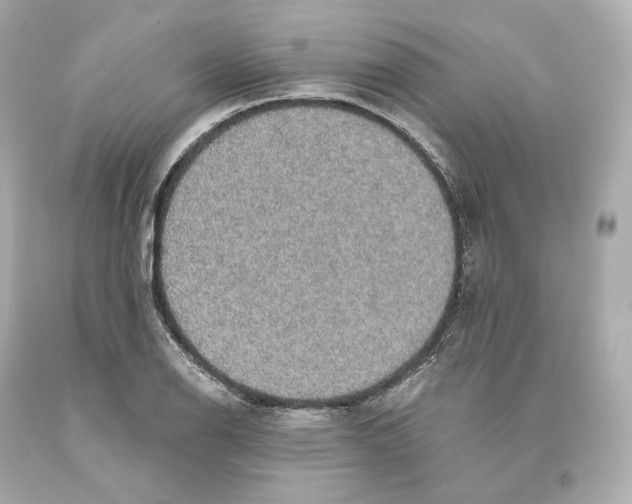 X0000093621126200711051234