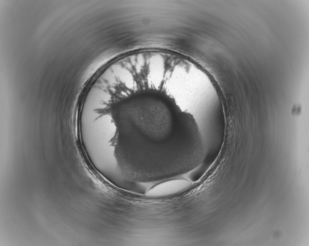 X0000093621127200711051234