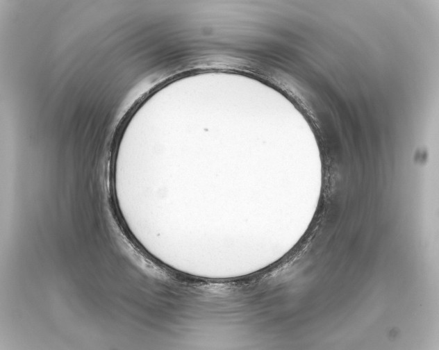 X0000093621130200711051234