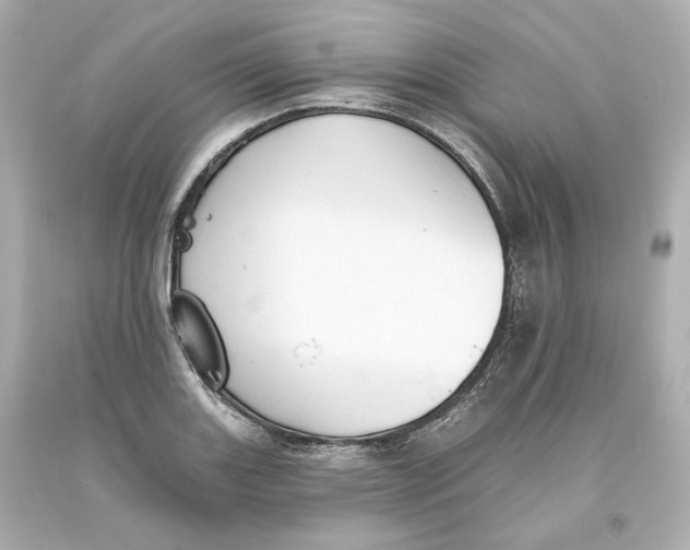 X0000093621131200711051234