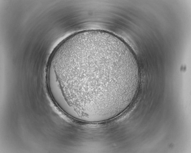 X0000093621134200711051234