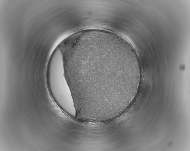 X0000093621138200711051234