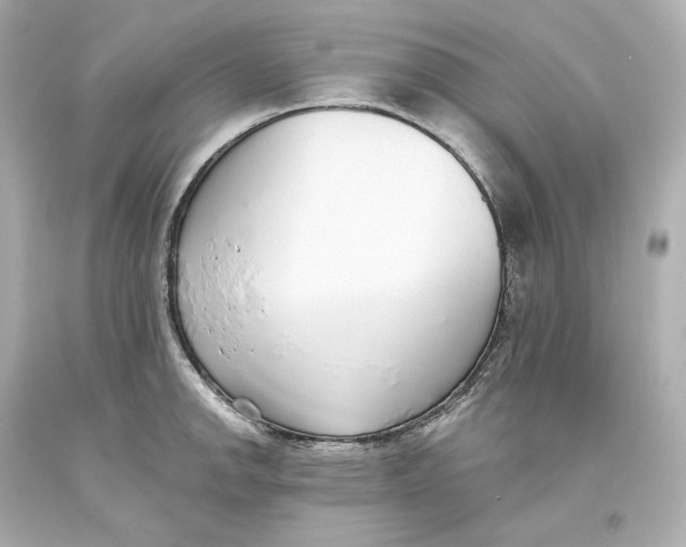 X0000093621142200711051234