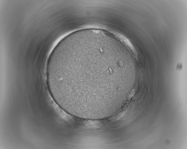 X0000093621148200711051234