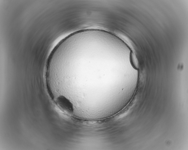 X0000093621149200711051234