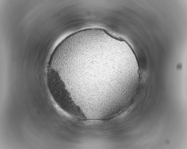 X0000093621151200711051234