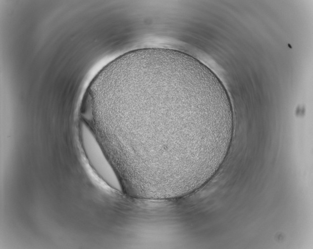 X0000093621152200711051234