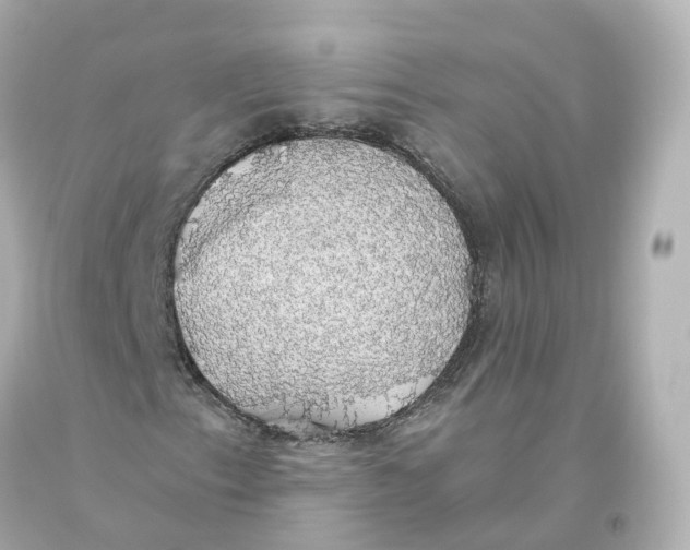 X0000093621153200711051233