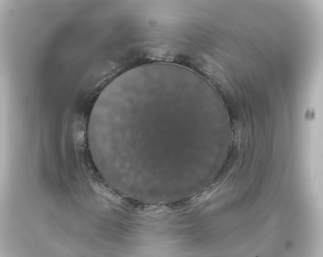X0000093621154200711051233