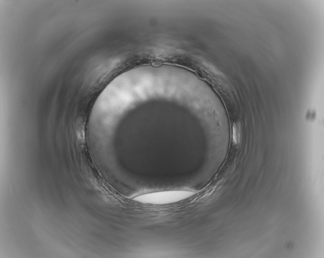 X0000093621155200711051233