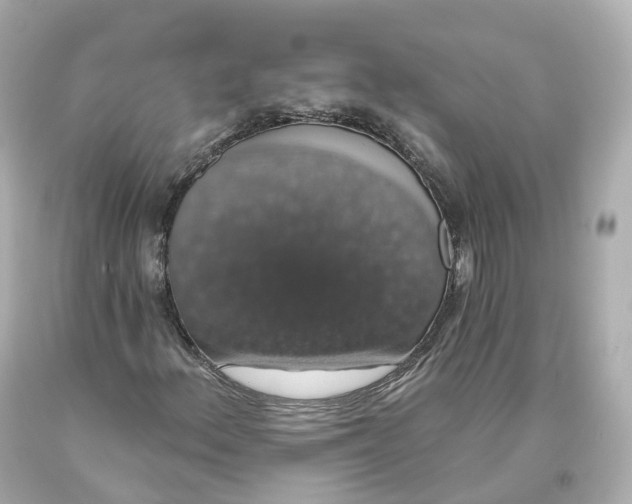 X0000093621156200711051233