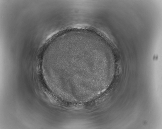 X0000093621158200711051233