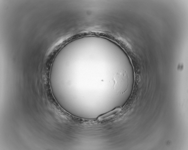 X0000093621159200711051233