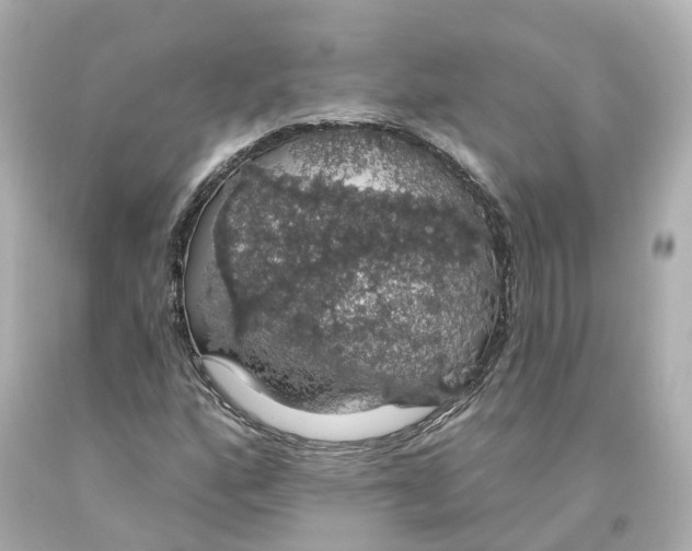 X0000093621160200711051233