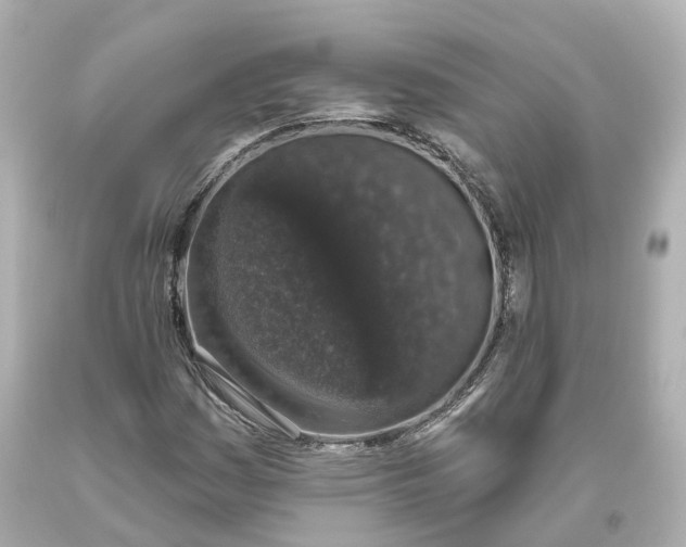 X0000093621161200711051233