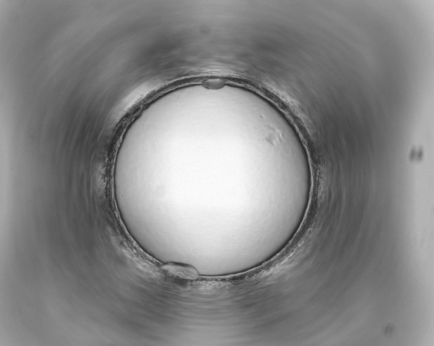 X0000093621163200711051233