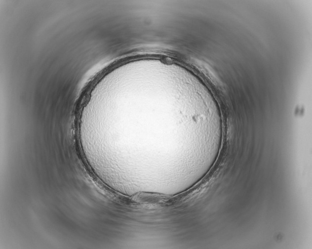 X0000093621164200711051233