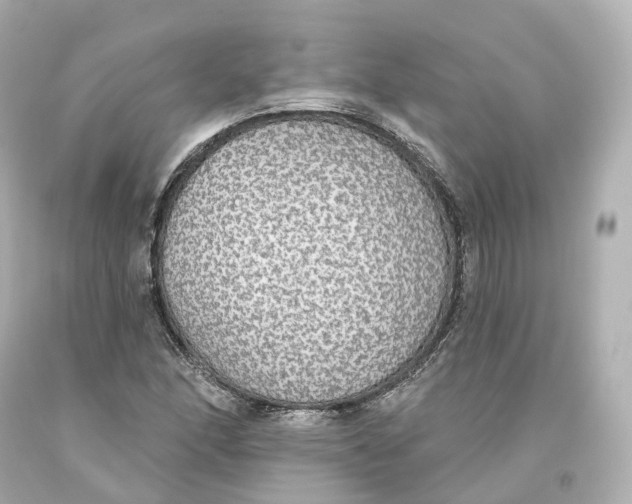 X0000093621166200711051233