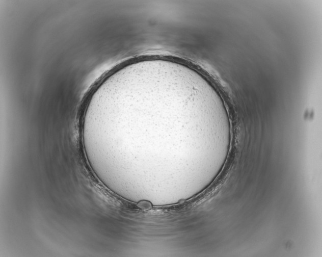 X0000093621167200711051233