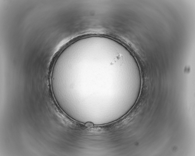 X0000093621168200711051233