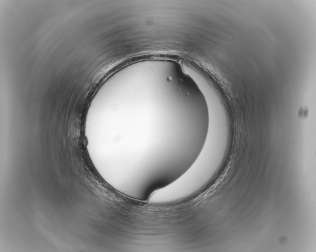 X0000093621169200711051233