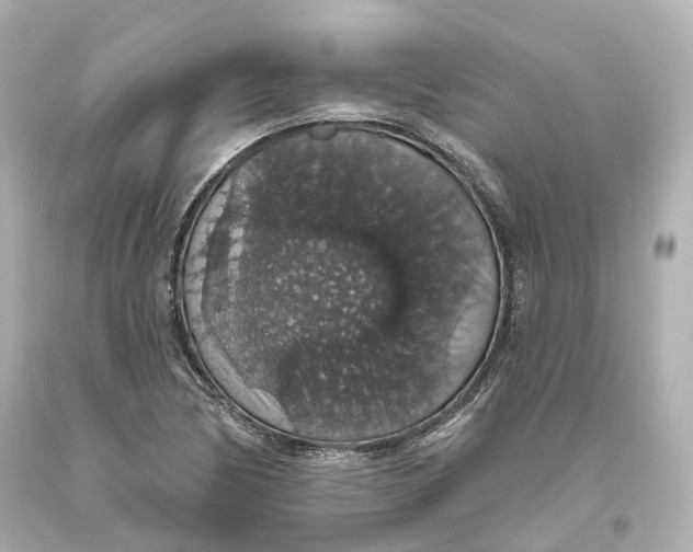 X0000093621170200711051233