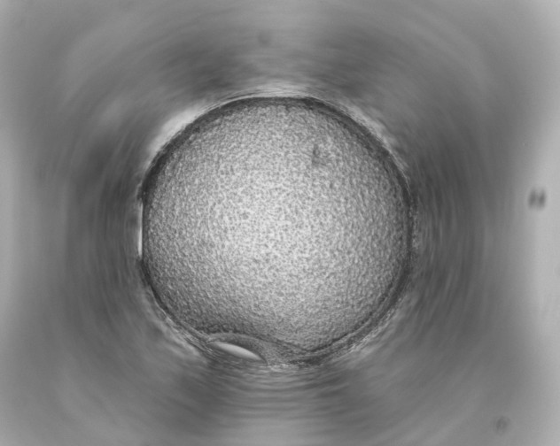 X0000093621171200711051233