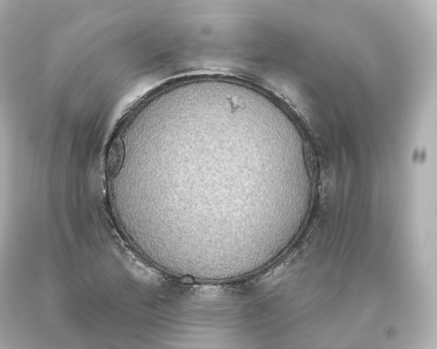 X0000093621172200711051233