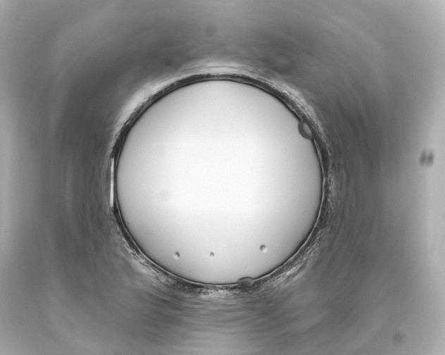 X0000093621175200711051233