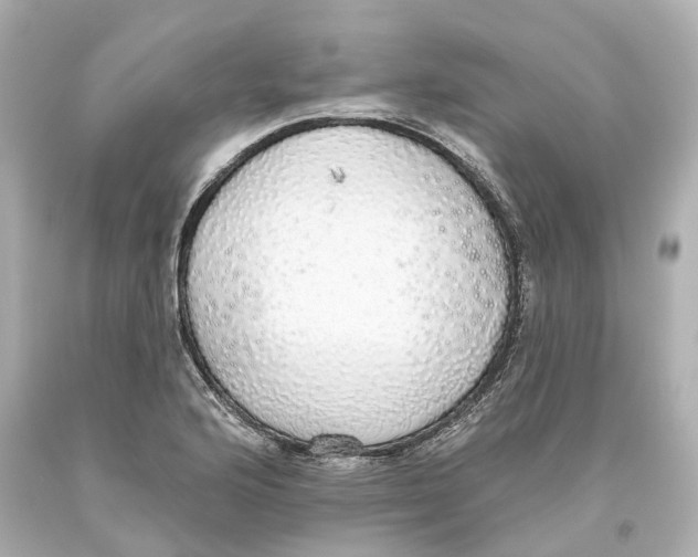X0000093621176200711051233