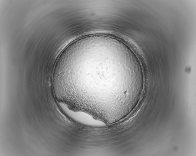 X0000093621177200711051233