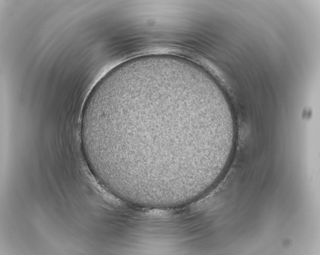 X0000093621178200711051233
