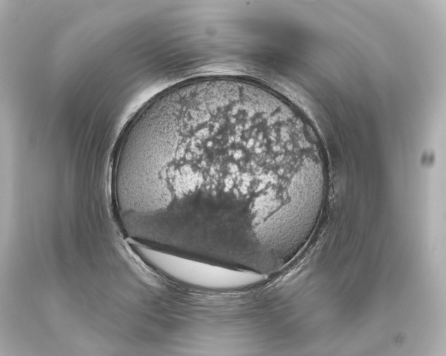 X0000093621179200711051233