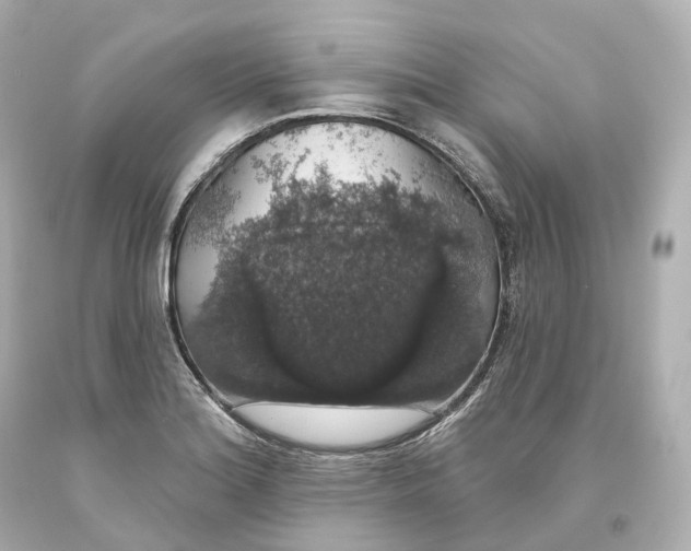 X0000093621180200711051233